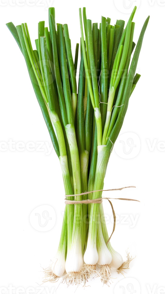 Bunch 0f Green onion isolate on transparency background png