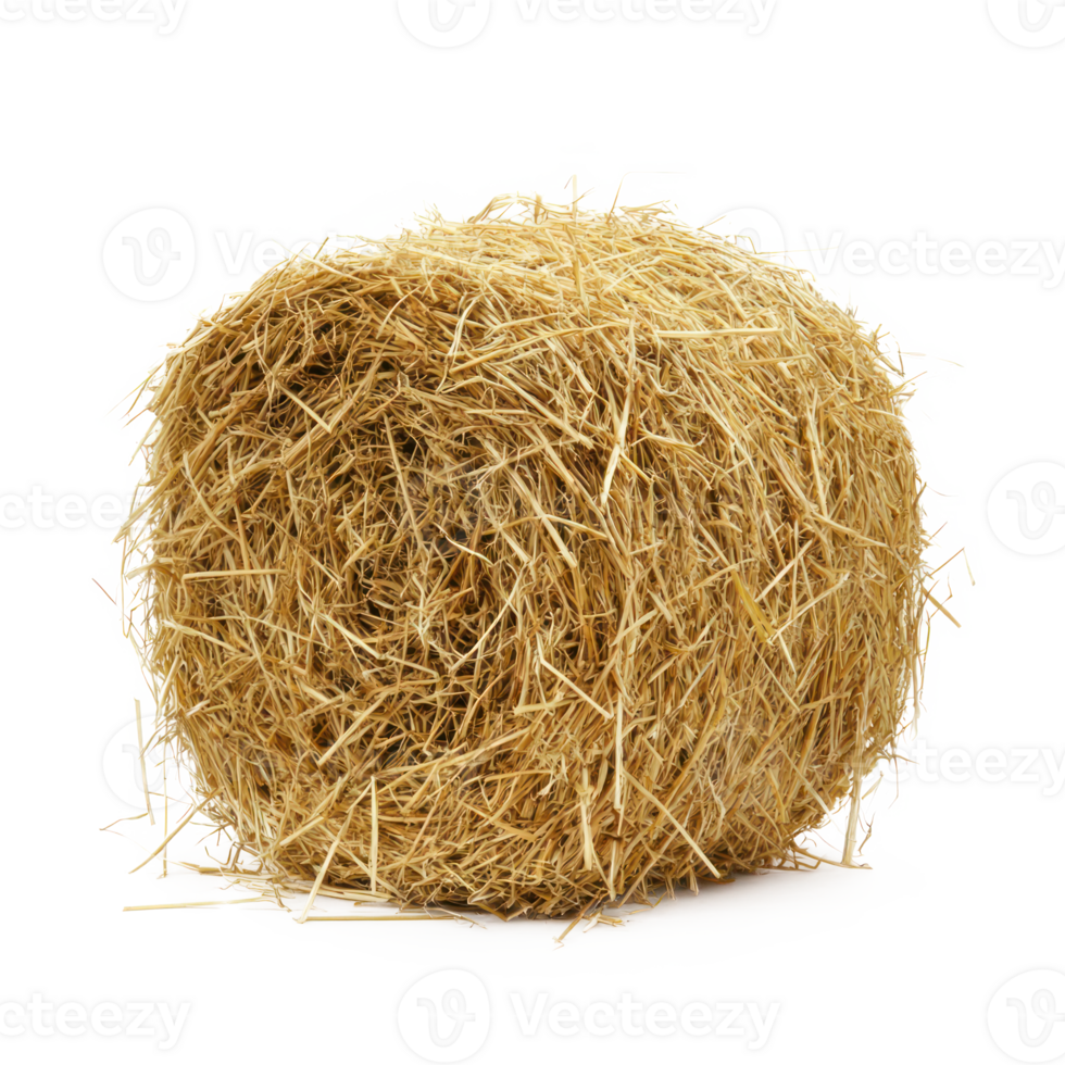 hay isolate on transparency background png