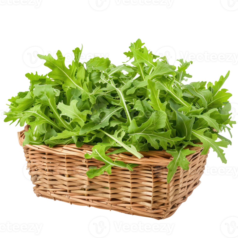 Arugula Lettuce in basket isolate on transparency background png