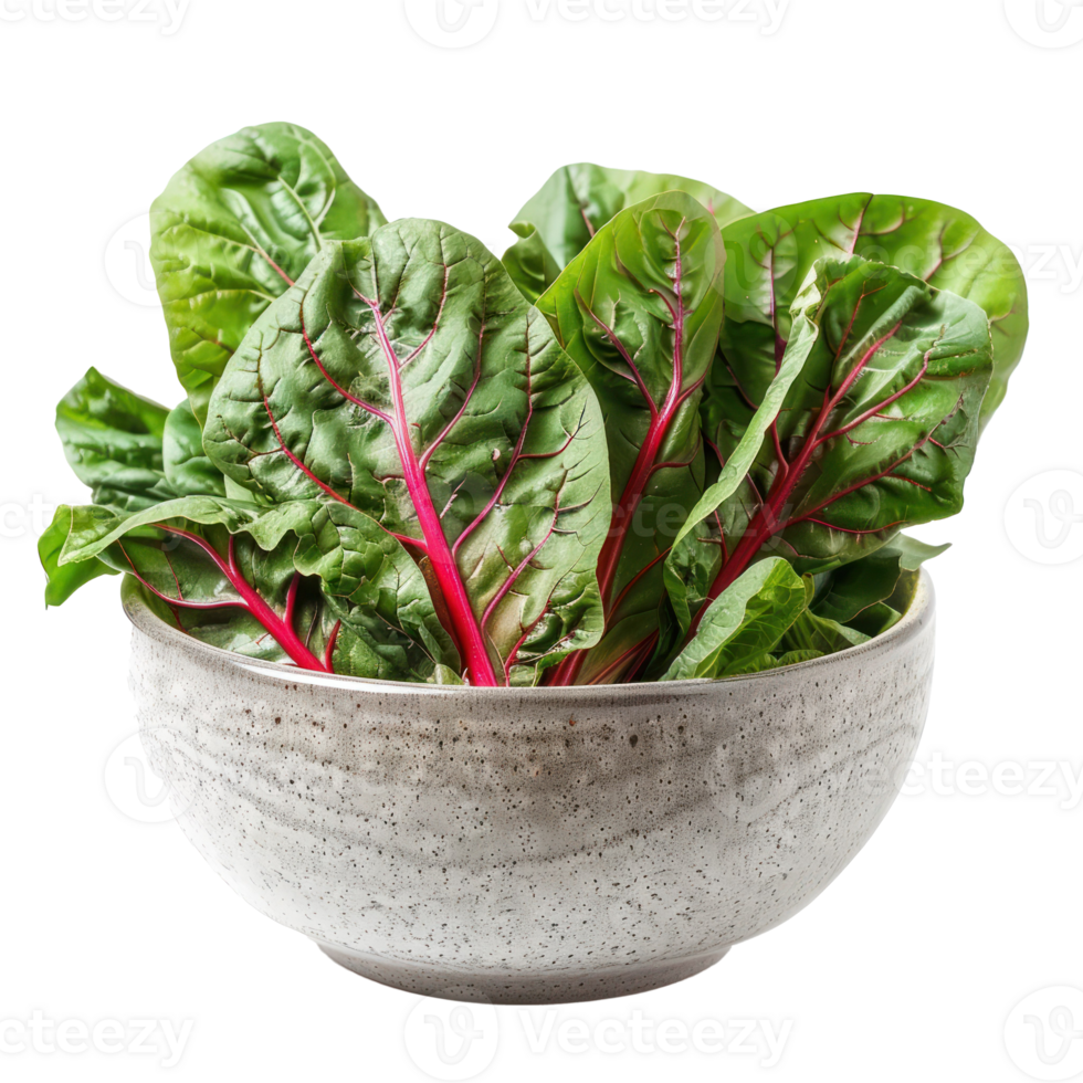 Chard in a bowl front view isolate on transparency background png