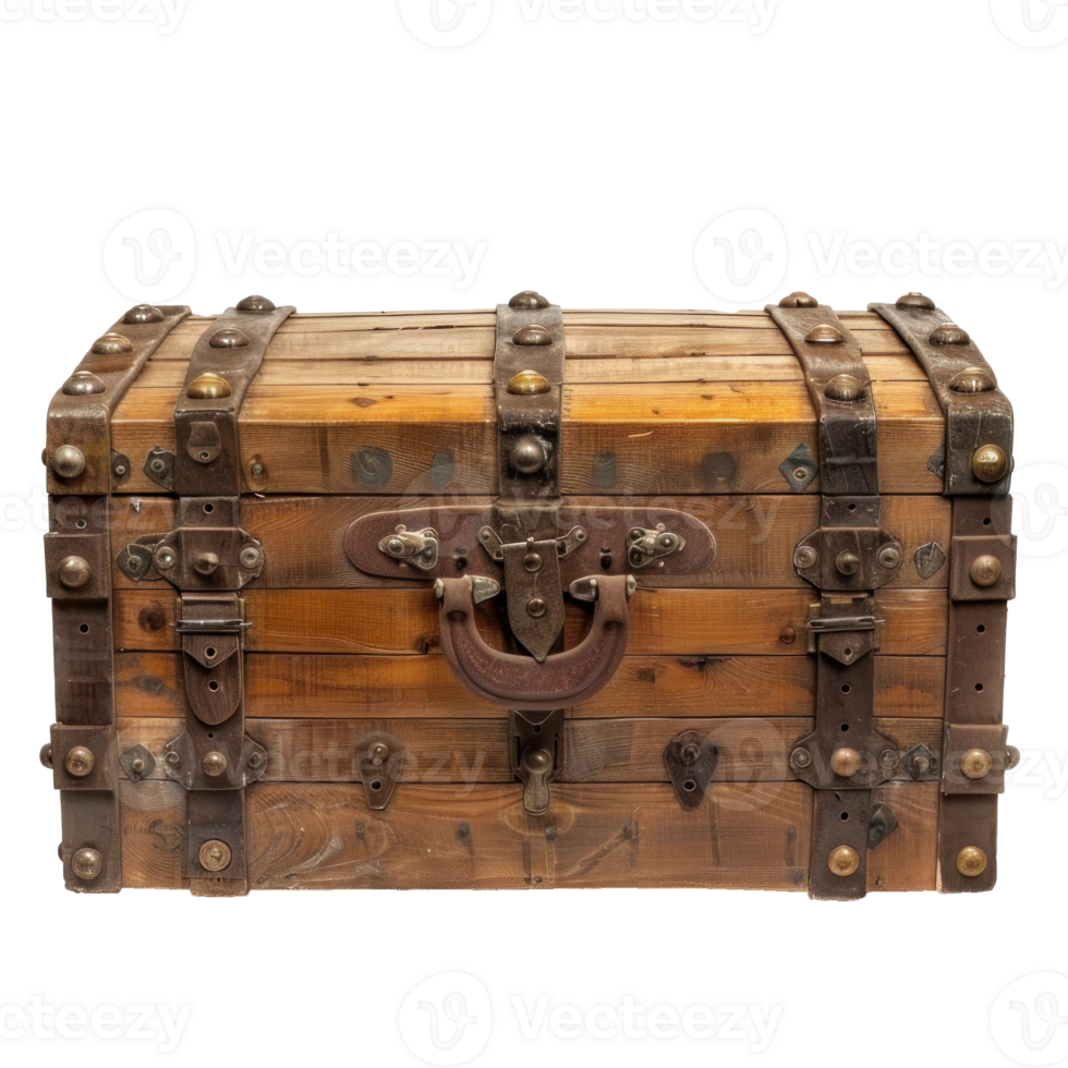 Trunk isolate on transparency background png