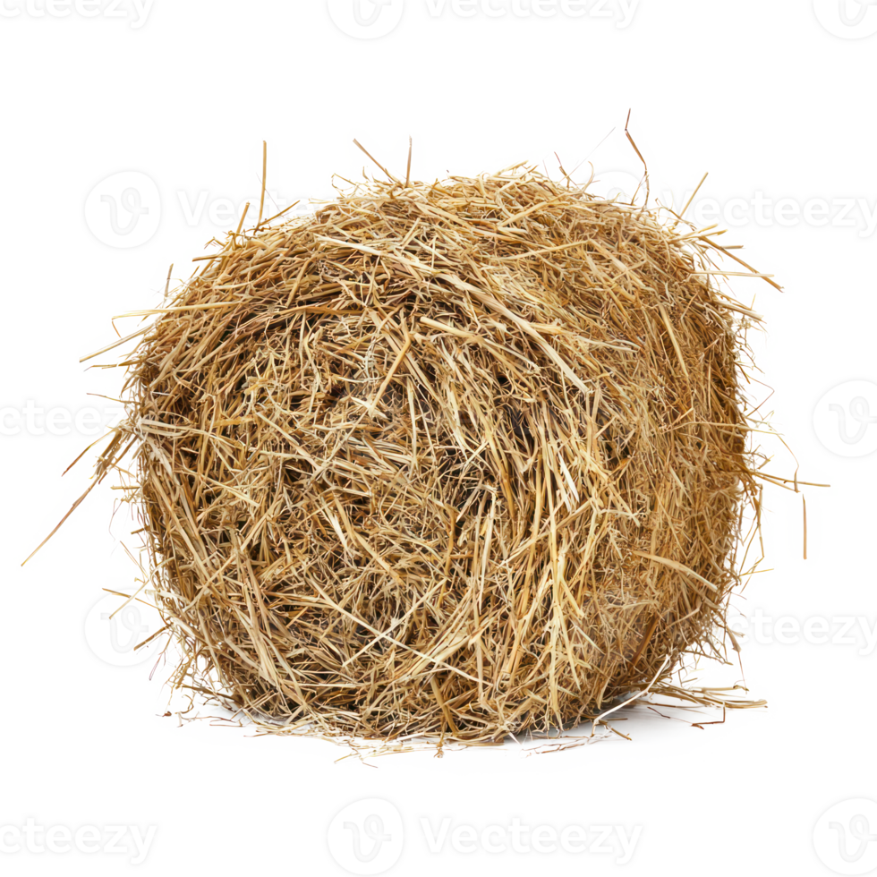 hay isolate on transparency background png