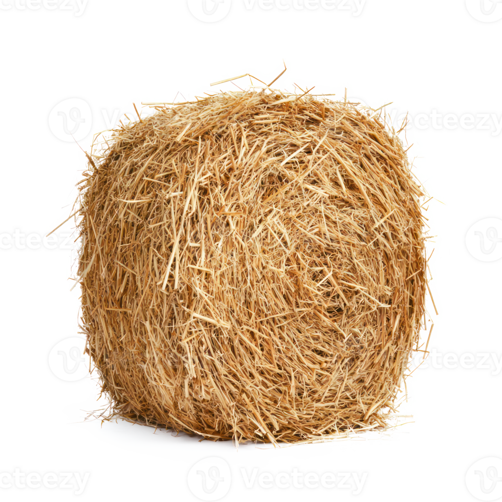 hay front view isolate on transparency background png