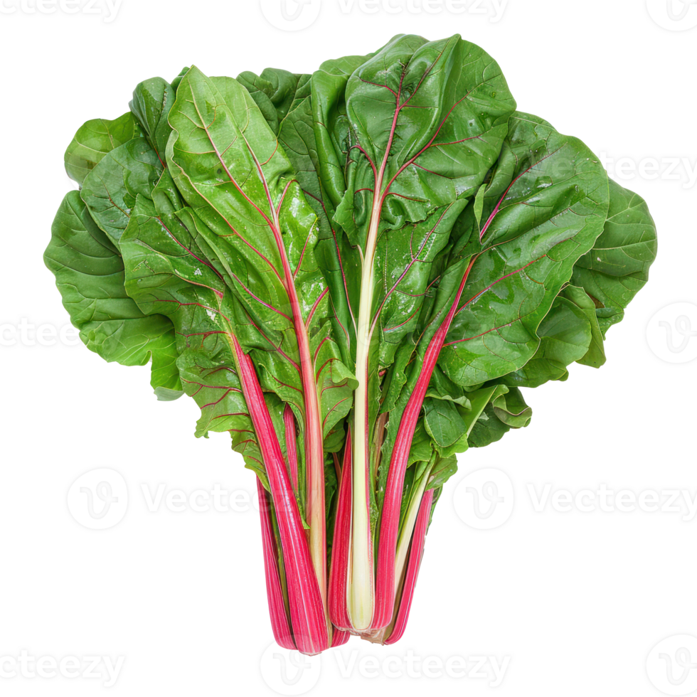 Bundle of Chard isolate on transparency background png