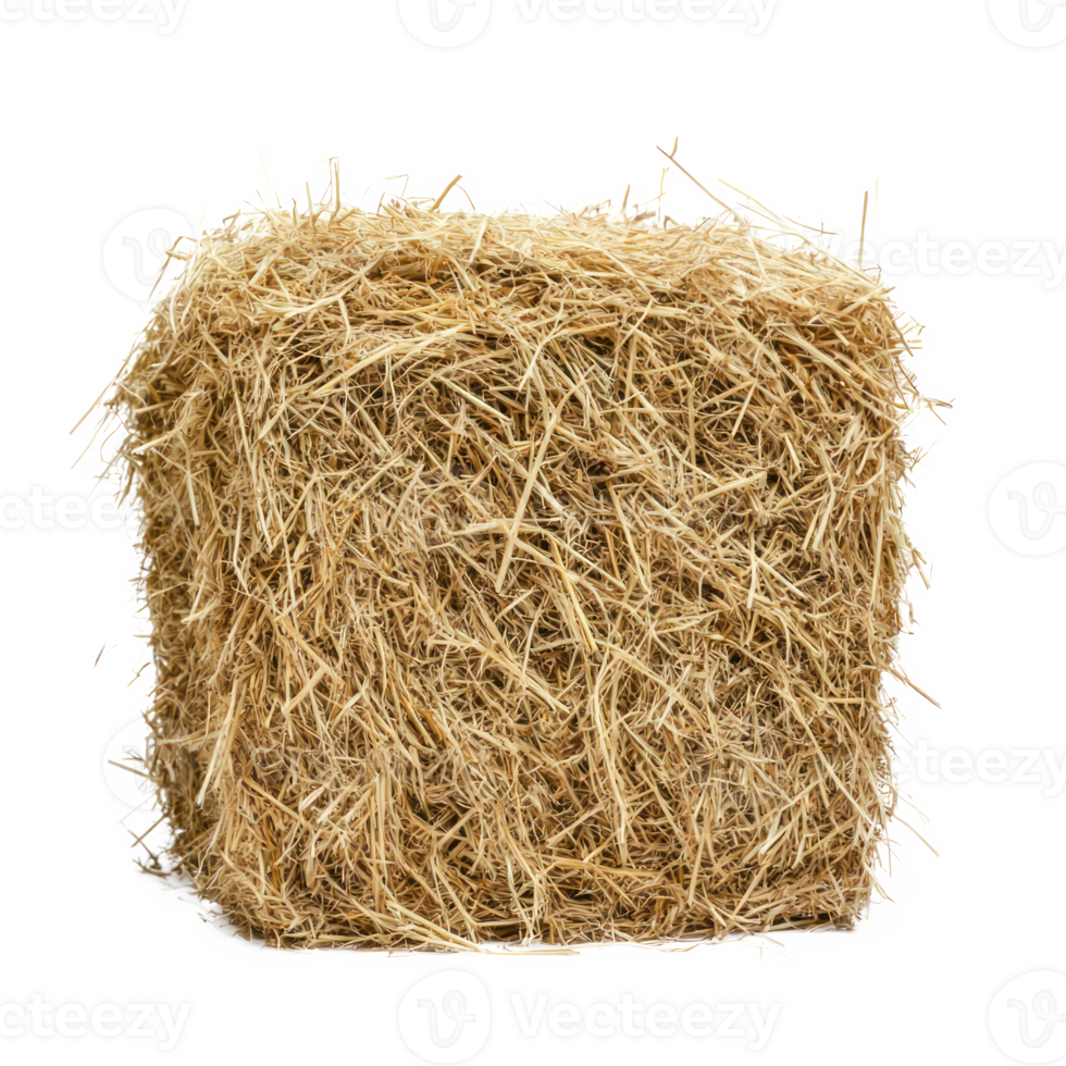 hay front view isolate on transparency background png