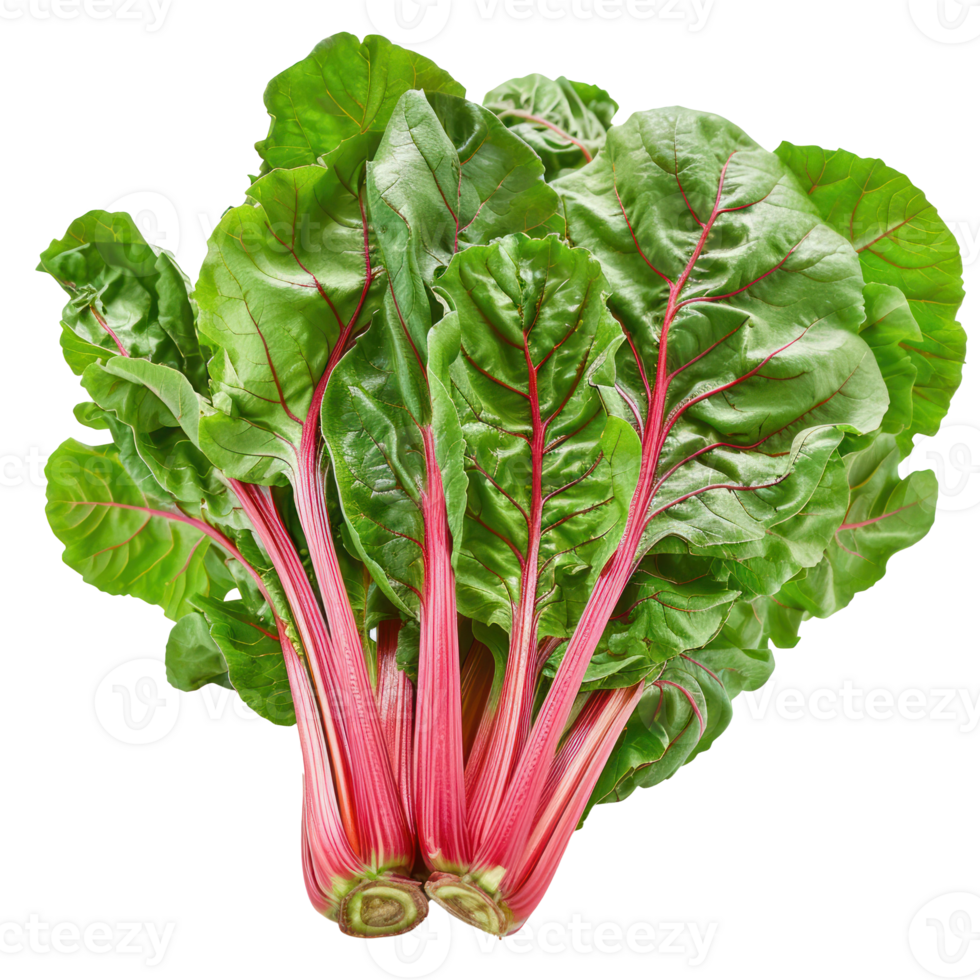 Chard, clipping path isolate on transparency background png