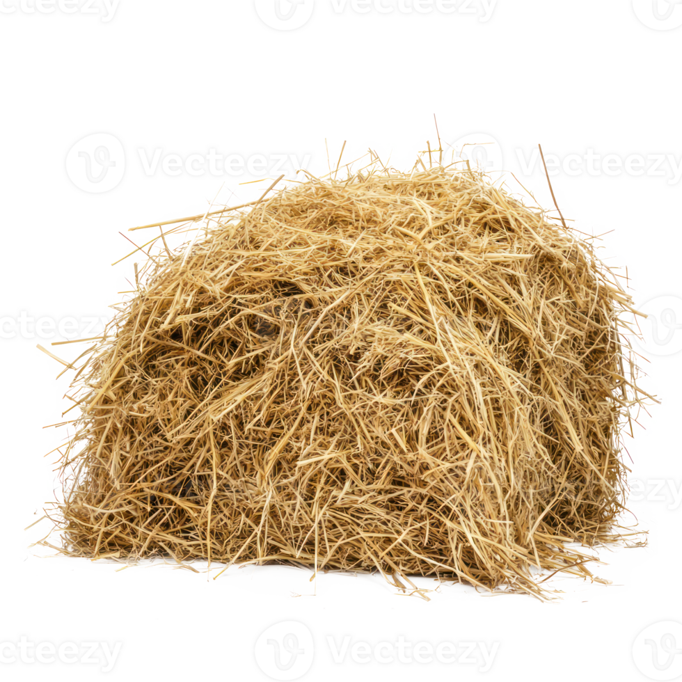 hay side view isolate on transparency background png
