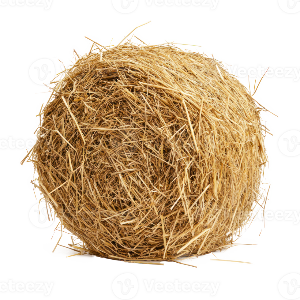 hay isolate on transparency background png