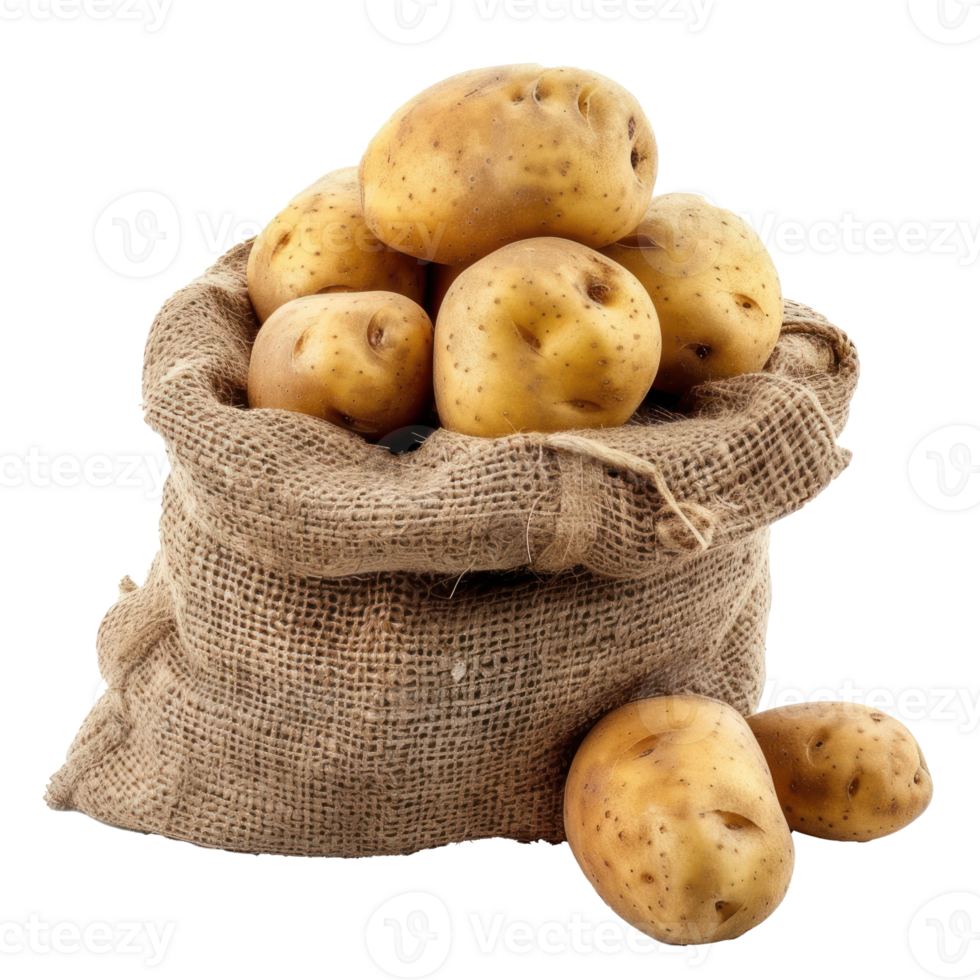 Ripe potato in burlap sack isolate on transparency background png