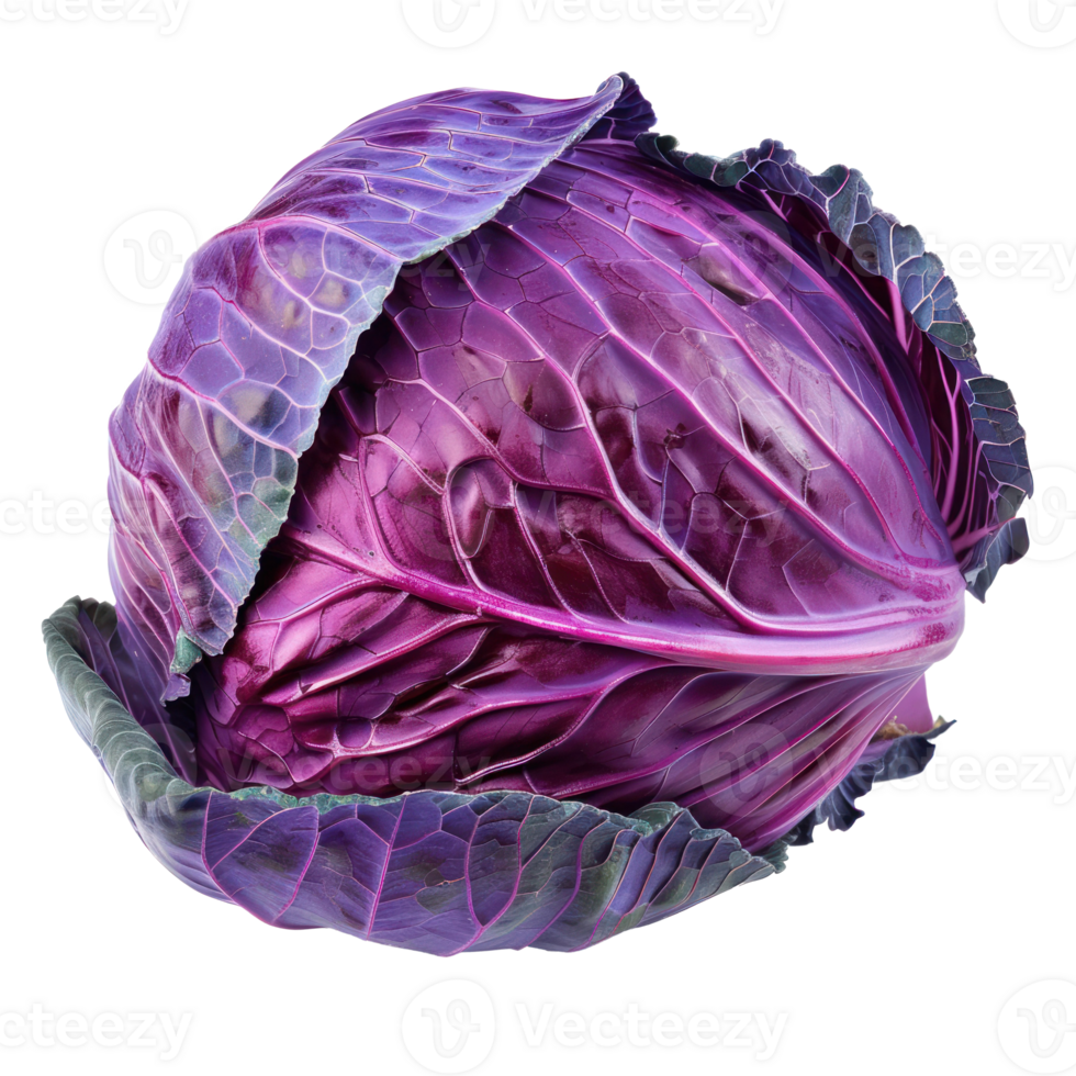 Purple Cabbage, clipping path isolate on transparency background png