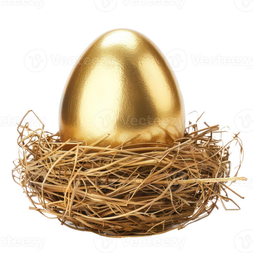 golden nest egg front view isolate on transparency background png