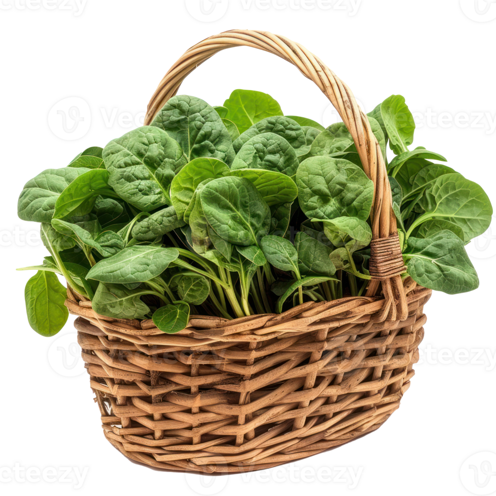 spinach in basket isolate on white background png