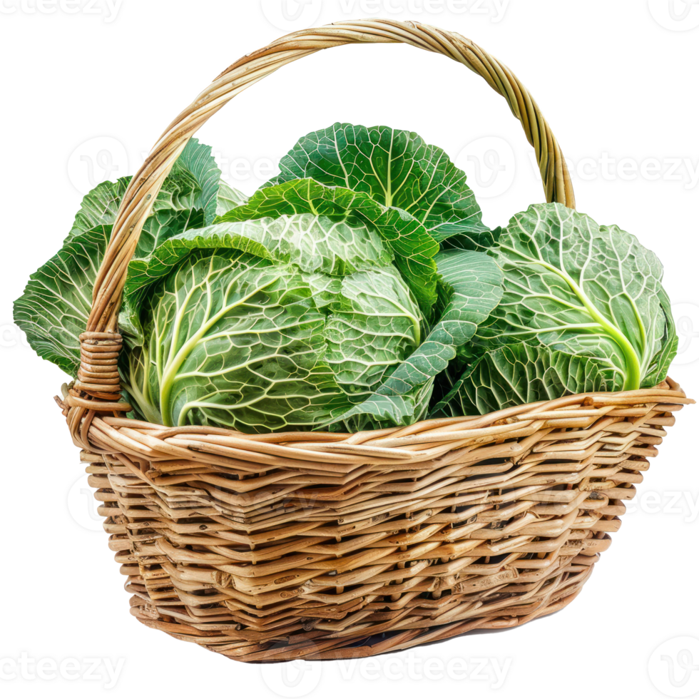 Green Cabbage in basket isolate on transparency background png