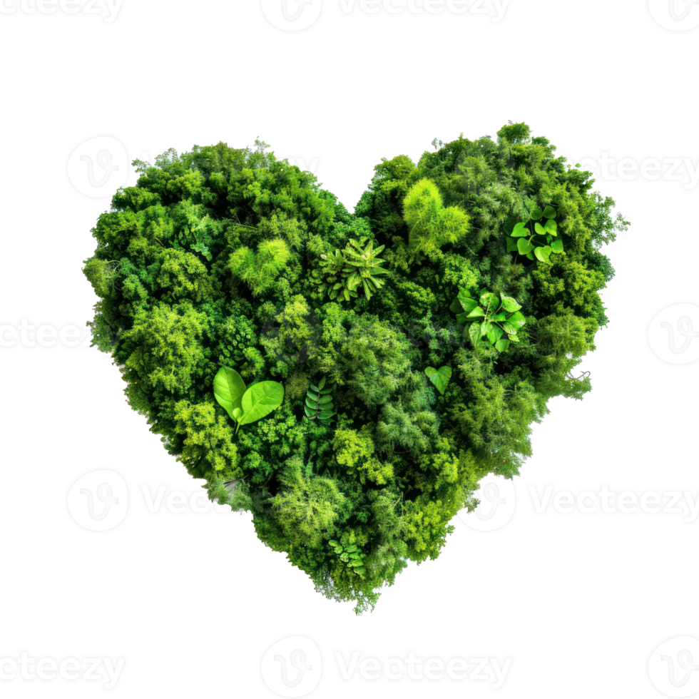 Heart made of forest top view isolate on transparency background png