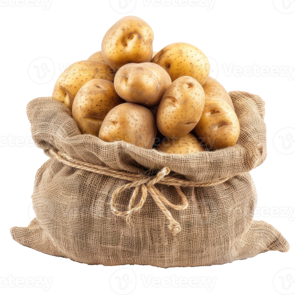 Ripe potato in burlap sack isolate on transparency background png