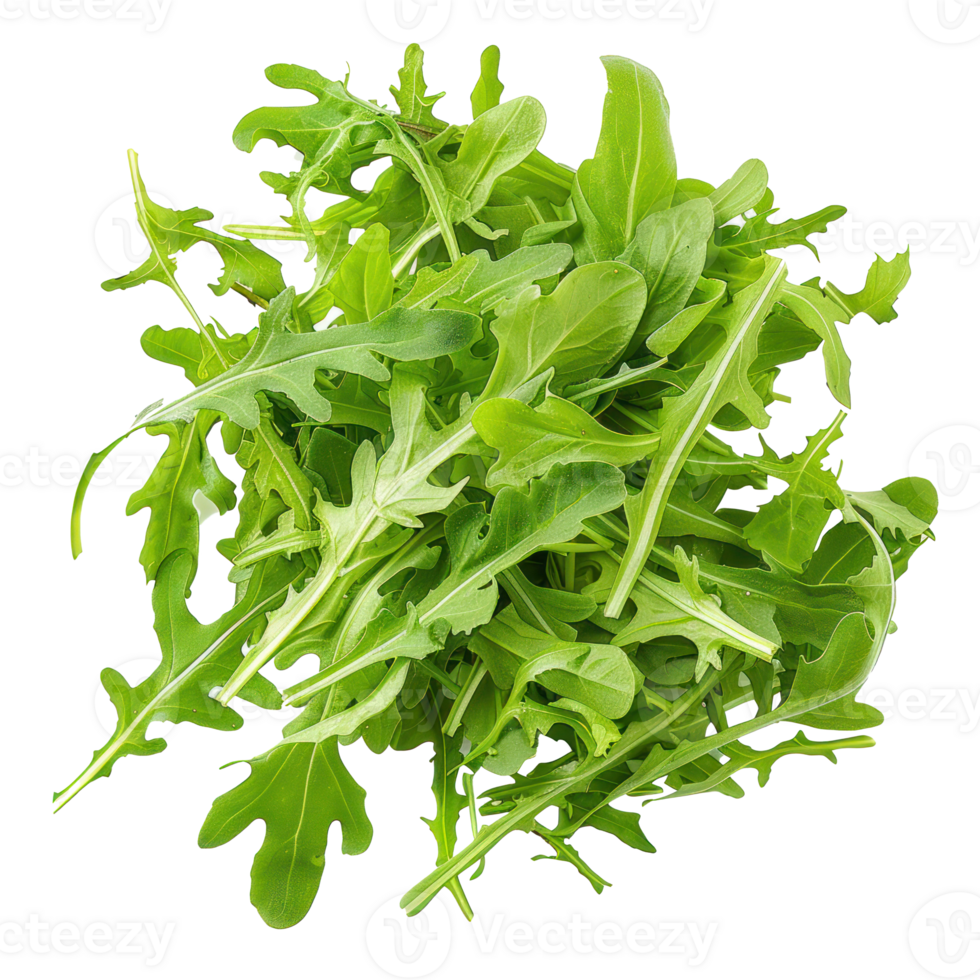 Arugula Lettuce, clipping path isolate on transparency background png