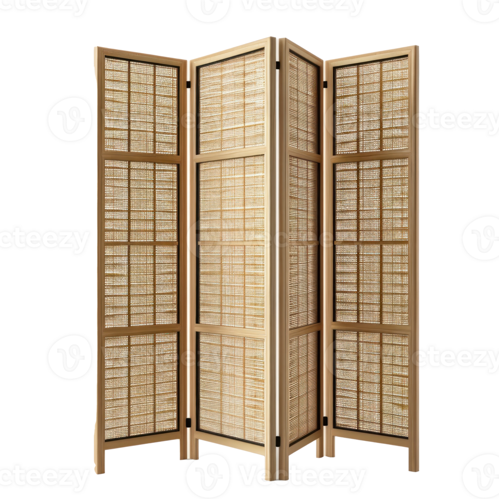 Room Divider front view full length isolate on transparency background png