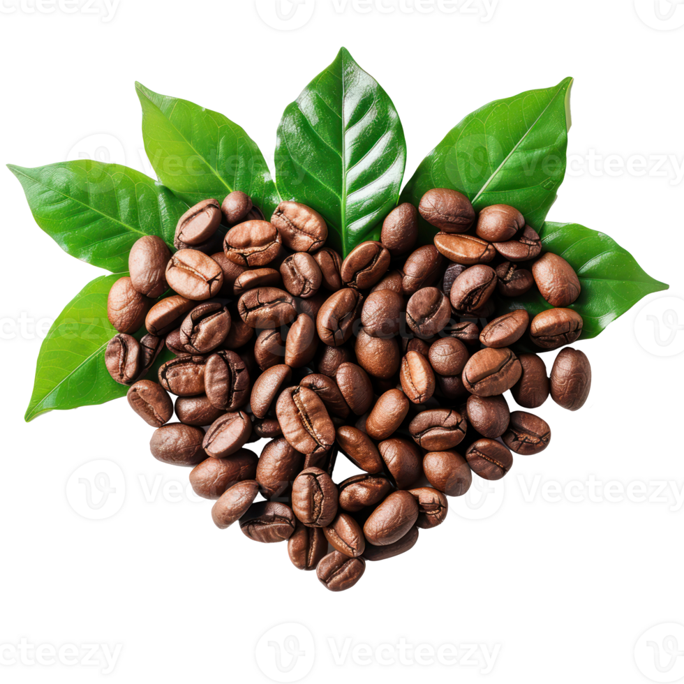 Coffee beans in Heart shaped and leaves, fair trade concept top view isolate on transparency background png