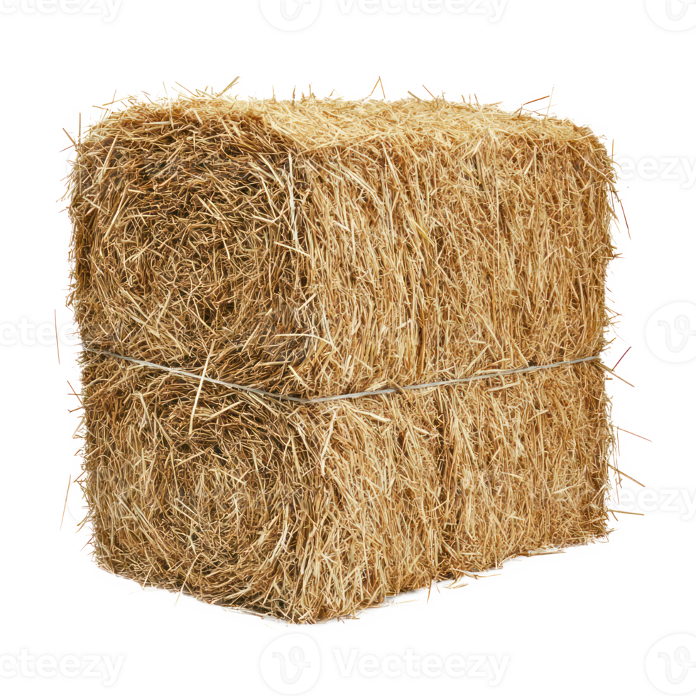 hay side view isolate on transparency background png