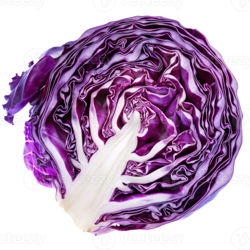 Piece of Purple Cabbage isolate on transparency background png
