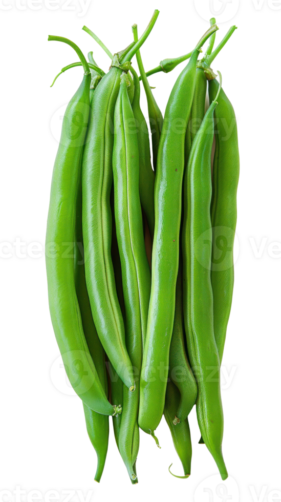 A Green Beans closeup , clipping path isolate on transparency background png