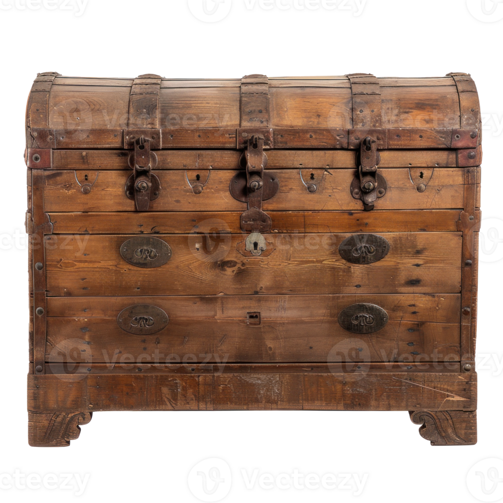 Trunk front view full length isolate on transparency background png