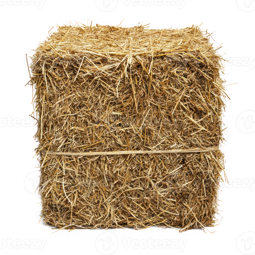 hay front view isolate on transparency background png