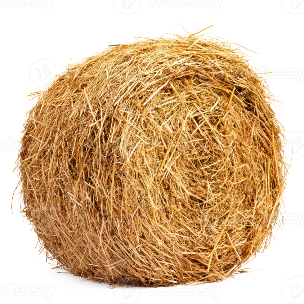 hay front view isolate on transparency background png