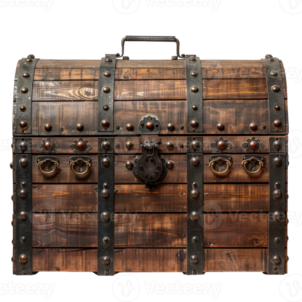 Trunk front view full length isolate on transparency background png