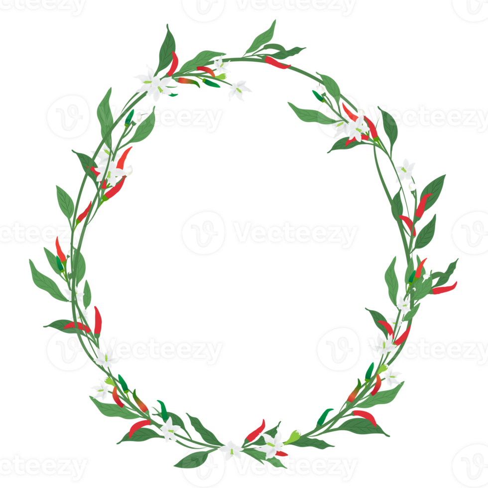 chilli branch foliage on frame decoratie background png