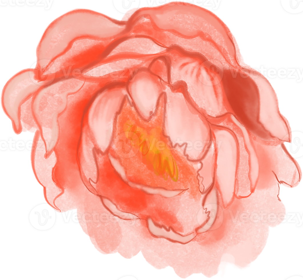 Light Red Watercolor Peony png