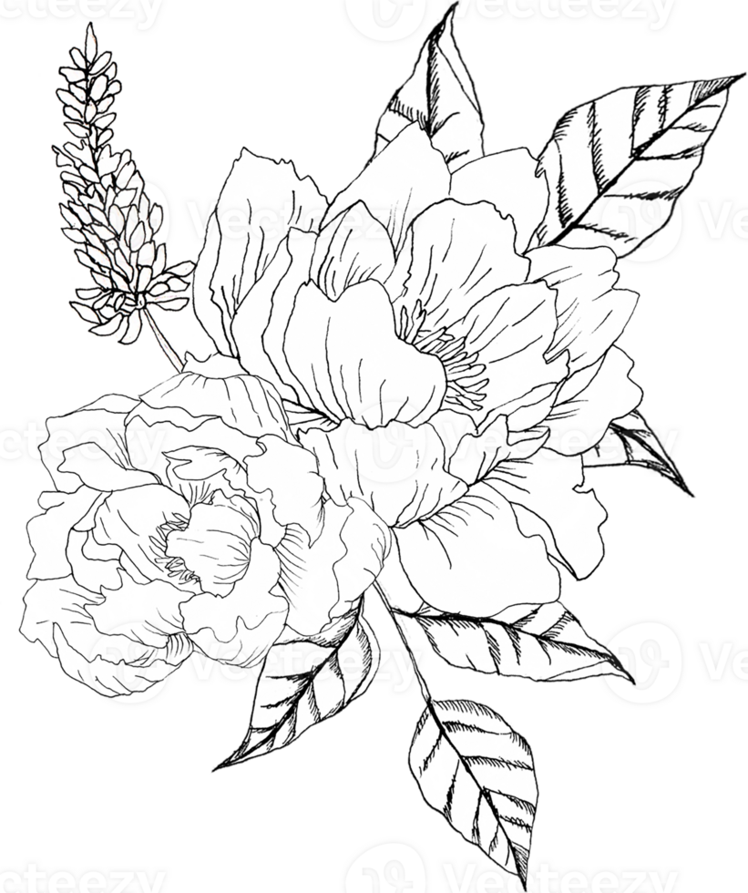 Lineart Peony Boutonniere png