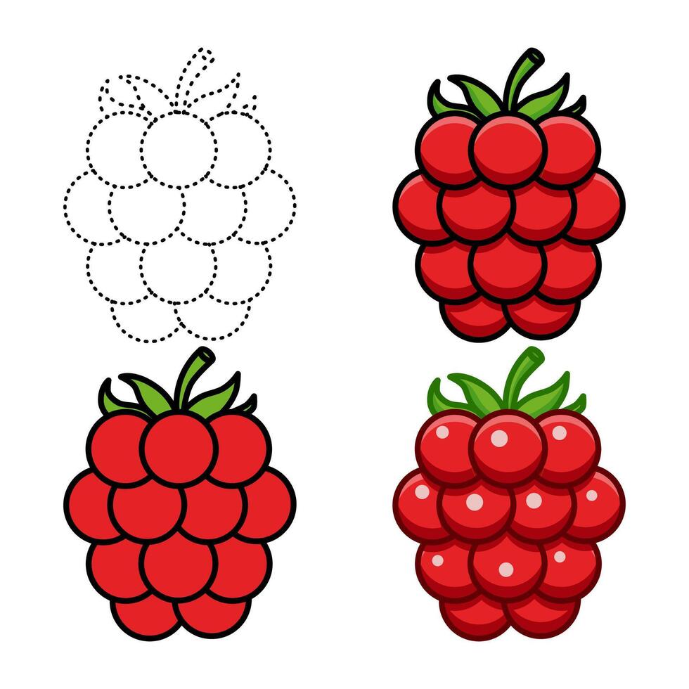 raspberry set illustration vector