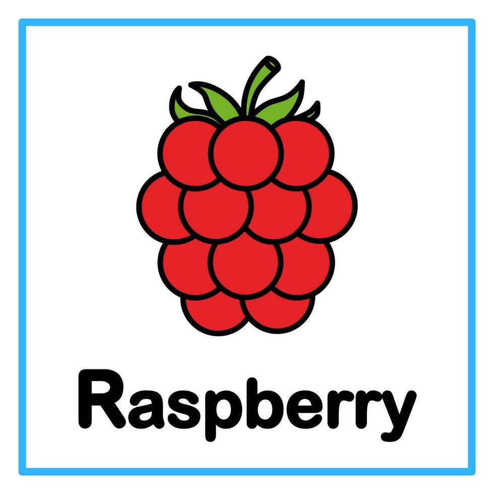 flat raspberry alfabet illustration vector