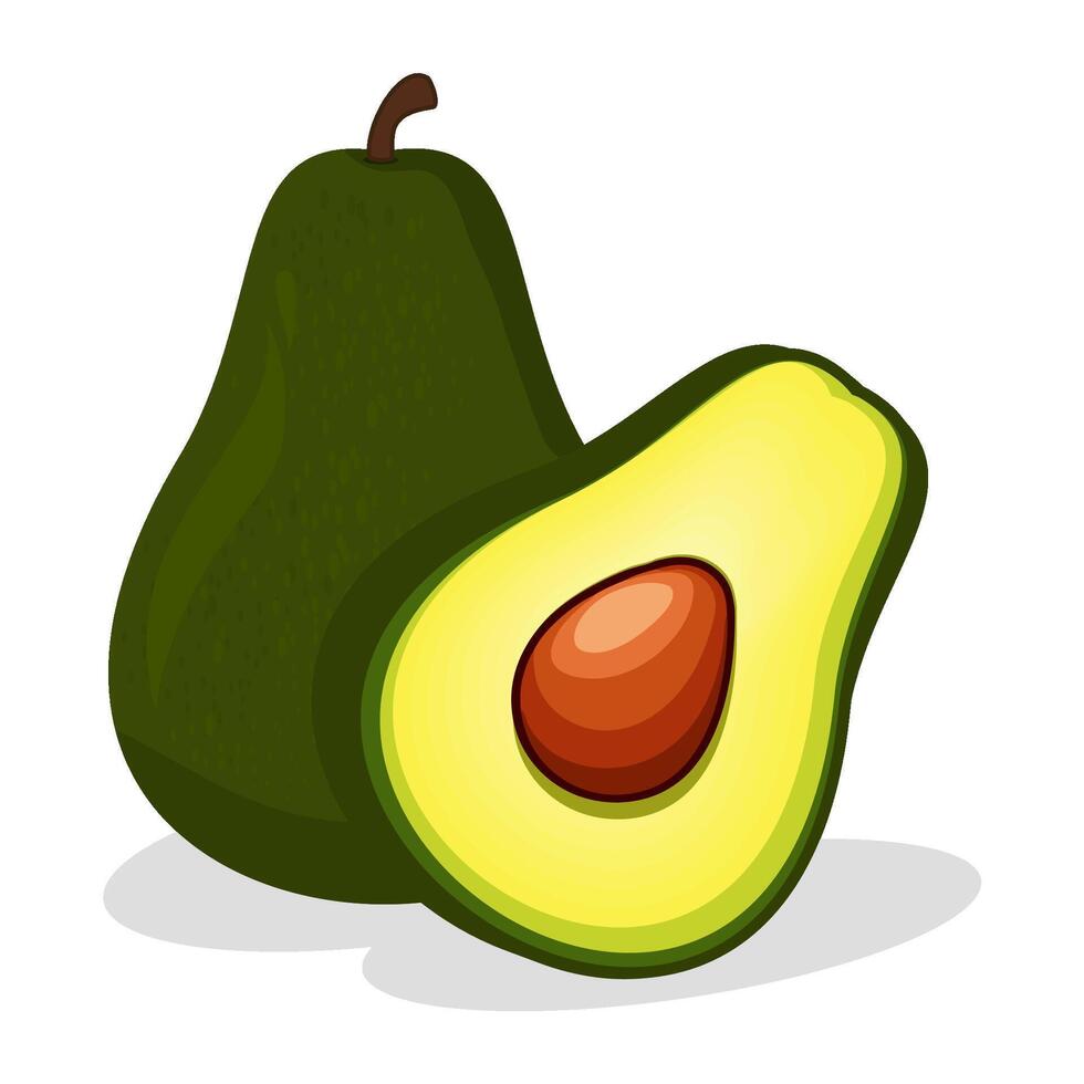 Cartoon avocado fruit. Fresh raw delicious avocado, whole fruit and half flat on a white background vector