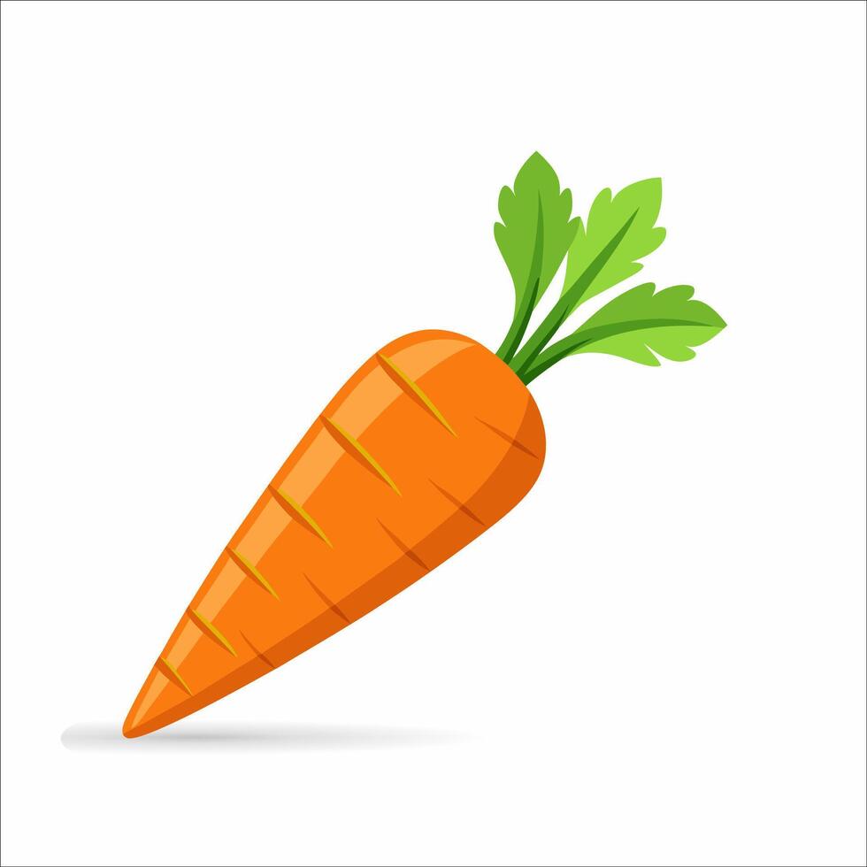 Isolated carrot element in cartoon style on white background. Organic healthy food clipart vector