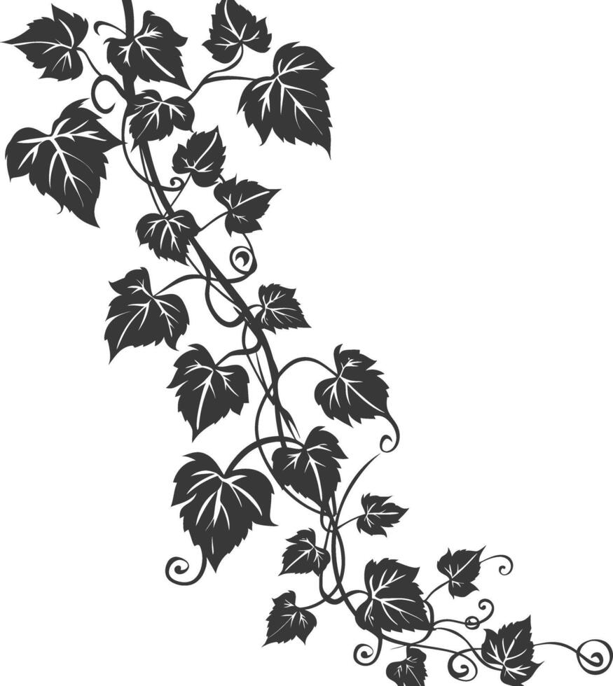 Vine with leaves vector