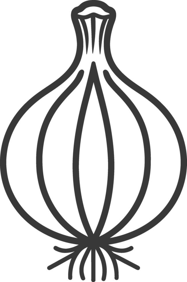 An onion is shown in a line drawing vector