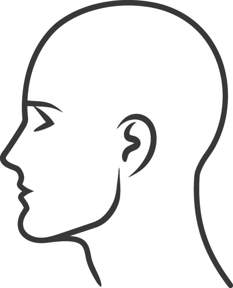 A man's head is shown in a line drawing vector