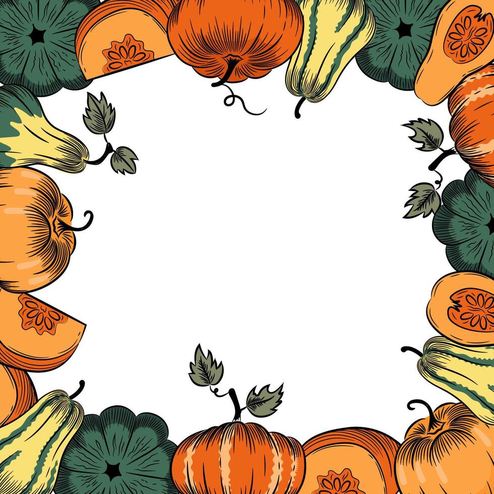 Autumn pumpkin sketch square frame. Thanksgiving greeting card template. vector
