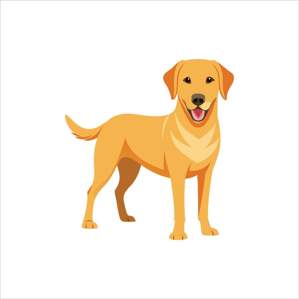 Labrador Retriever, Favorite Family Dog. vector