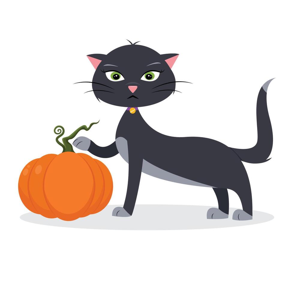 Cute black cat with a pumpkin on a white background vector