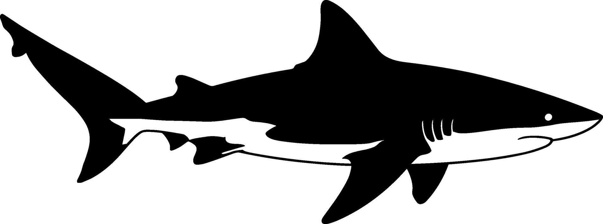 Great white shark clip art vector