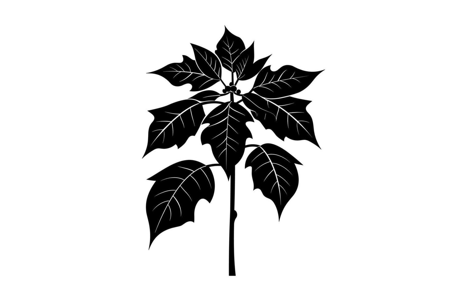Poinsettia Flower Silhouette vector