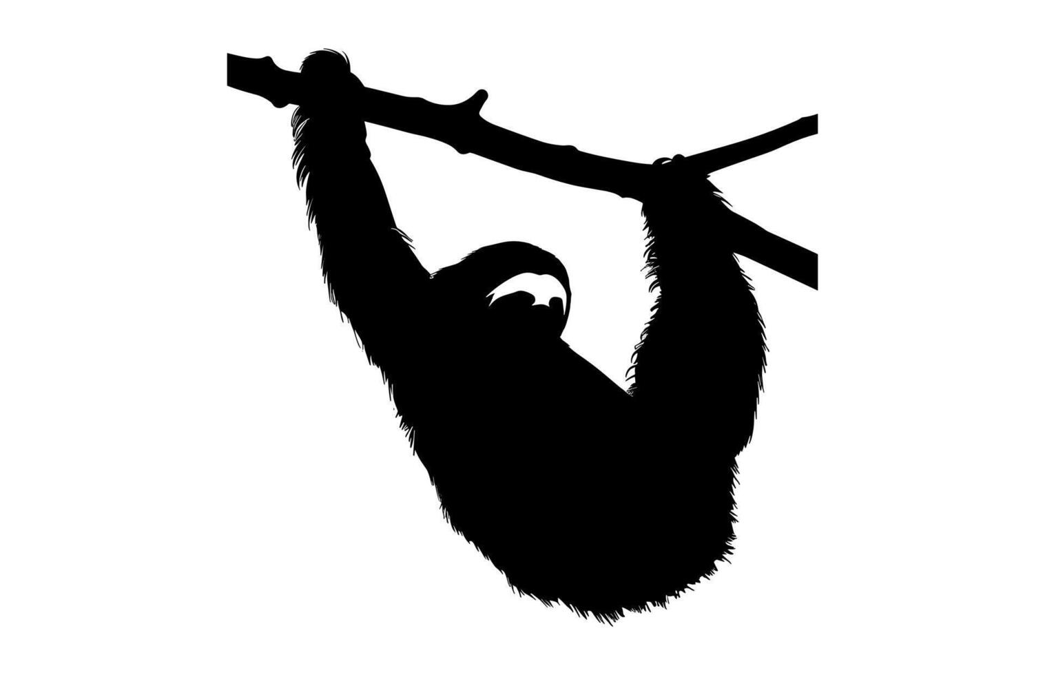 Sloth Hanging Silhouette isolated on a white background vector