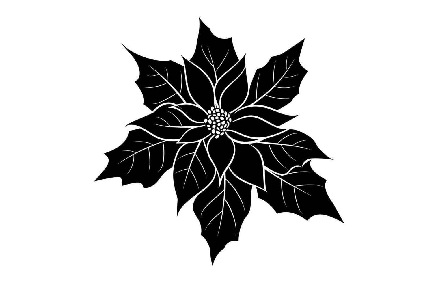 Poinsettia Flower Silhouette isolated on a white background vector
