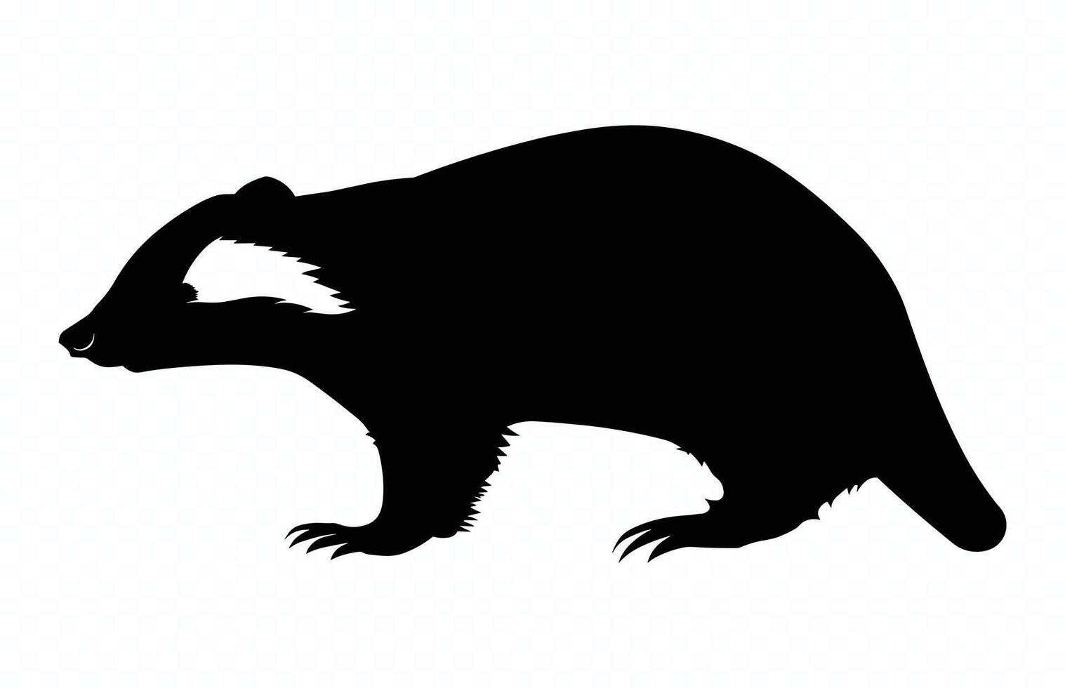 Honey Badger Silhouette isolated on a white background vector