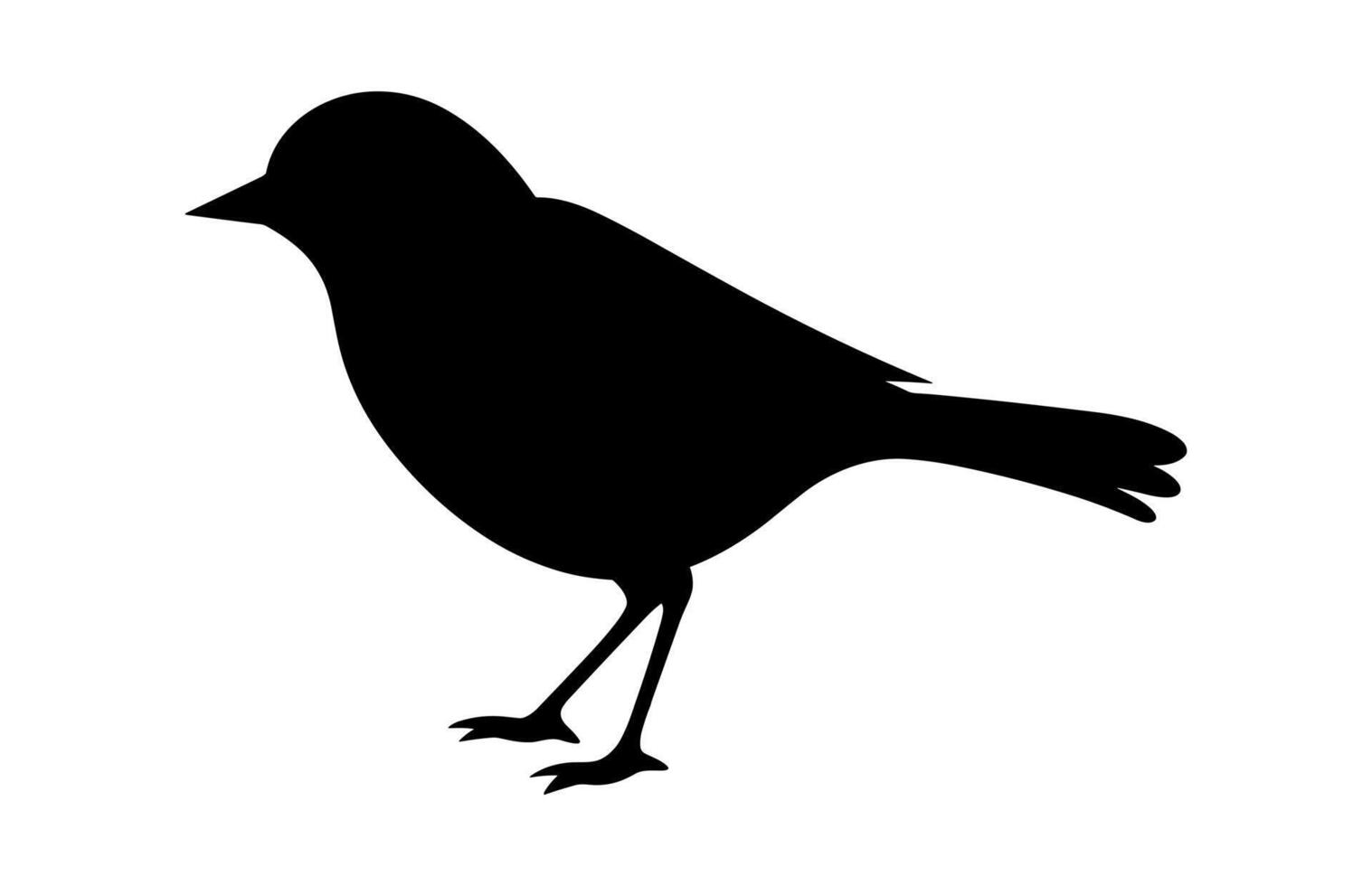 Nightingale Silhouette isolated on a white background vector