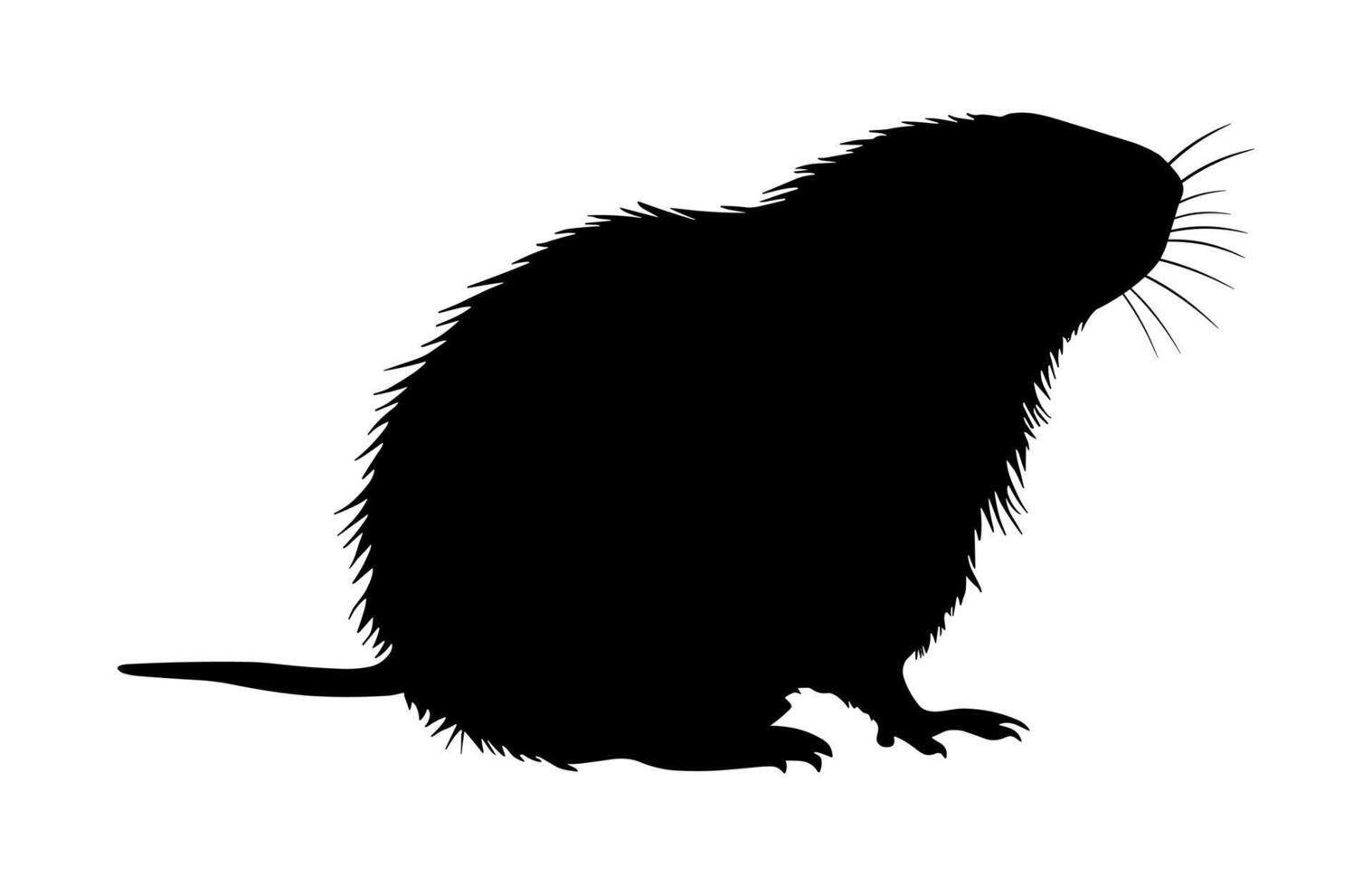 Mole Animal Black Silhouette isolated on a white background vector