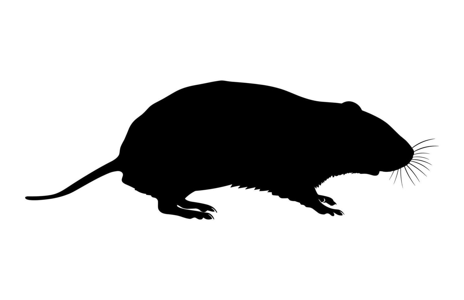 Mole Silhouette Clipart isolated on a white background vector